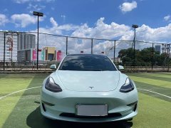 Tesla Model 3 Performance high-performance all-wheel drive version - фото 2