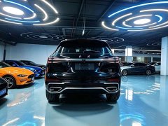 Hongqi HS5 2.0T Qixiang Pro Edition - фото 15