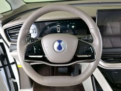 Denza D9 2022 DM-i 970 four-wheel drive premium - фото 14