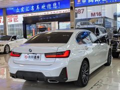 BMW 3 Series 320Li M Sport Package - фото 6