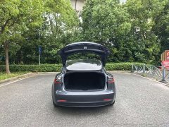 Tesla Model 3 facelift standard range rear drive upgraded version 3D1 - фото 16