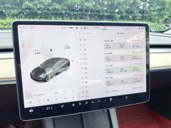 Tesla Model 3 facelift standard range rear drive upgraded version 3D1 - фото 8