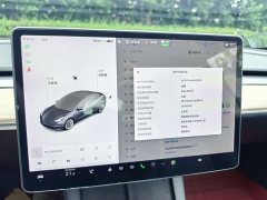 Tesla Model 3 facelift standard range rear drive upgraded version 3D1 - фото 9