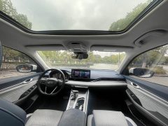 Tesla Xingrui 2.0TD Premium - фото 12