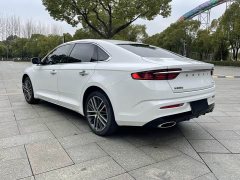 Tesla Xingrui 2.0TD Premium - фото 5