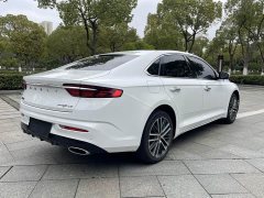Tesla Xingrui 2.0TD Premium - фото 8