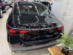 Mercedes-Benz E-Class E 260 L - фото 3