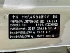 Tank 500 2022 3.0T Business Edition Landscape Type 5 Seats - фото 13