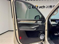 Tank 500 2022 3.0T Business Edition Landscape Type 5 Seats - фото 17