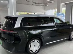BMW Leapmoon D19 Extended Range 500 Zhizun Edition Six Seats - фото 9