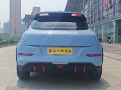 Lynk & Co Euler Good Cat GT Mulan Edition 480km long battery life - фото 6