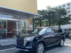 Hongqi Golden Sunflower Guoyao 2022 4.0T Monarch Flagship Edition 4 seats - фото 1
