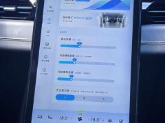 Xpeng G3 G3i 520N - фото 18