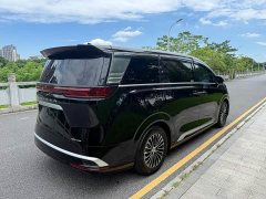 Denza D9 DM-i 970 four-wheel drive flagship - фото 6