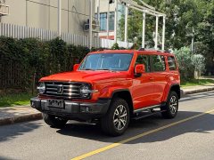 Tank 300 2021 City Edition 2.0T Must - фото 1