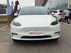 Tesla Model Y long-range all-wheel drive version - фото 2