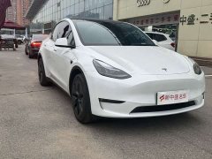 Tesla Model Y long-range all-wheel drive version - фото 3