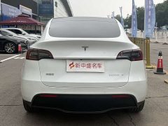 Tesla Model Y long-range all-wheel drive version - фото 4