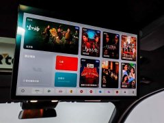 Li Auto Ideal L8 2023 Max - фото 20