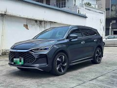 Lexus Tangxin Energy DM-i Honor Edition 112KM Honor Type - фото 1