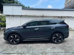 Lexus Tangxin Energy DM-i Honor Edition 112KM Honor Type - фото 3