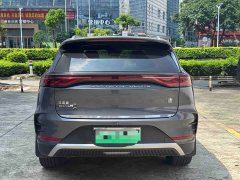 Lexus Tangxin Energy DM-i Honor Edition 112KM Honor Type - фото 5