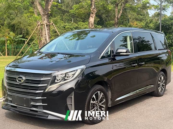 Trumpchi M8 Lead Show Series 390T Exclusive Edition - автомобиль из Китая