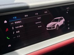 Porsche Cayenne New Energy Cayenne E-Hybrid 2.0T - фото 16