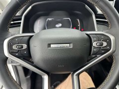 Haval Red Rabbit Exclusive Edition 1.5T Red Bronze Rabbit - фото 15