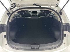 Haval Red Rabbit Exclusive Edition 1.5T Red Bronze Rabbit - фото 18