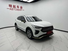 Haval Red Rabbit Exclusive Edition 1.5T Red Bronze Rabbit - фото 3