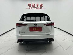 Lexus NX 2020 200 AWD Fengshang Edition National VI - фото 10