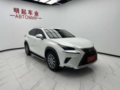 Lexus NX 2020 200 AWD Fengshang Edition National VI - фото 3