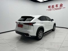Lexus NX 2020 200 AWD Fengshang Edition National VI - фото 8