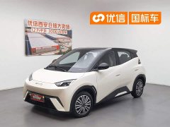 BYD Seagull 2023 Vitality Edition - фото 1