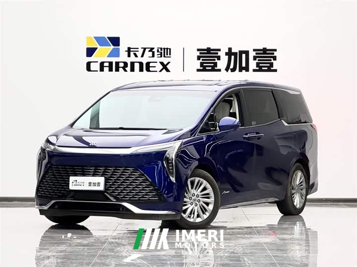 BYD Century 2023 2.0T seven-seat Yuanshi Edition - автомобиль из Китая