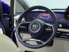 BYD Century 2023 2.0T seven-seat Yuanshi Edition - фото 12