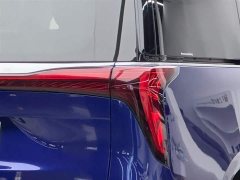 BYD Century 2023 2.0T seven-seat Yuanshi Edition - фото 18