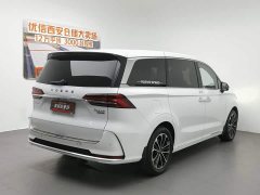 Lexus Roewe iMAX8 400TGI Supreme Series Honor Edition - фото 2