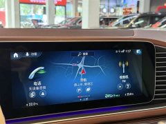 Mercedes-Benz Mercedes-Maybach GLS 480 4MATIC - фото 20