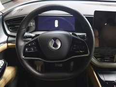 Denza D9 DM-i Intelligent Driving Edition 1020 AWD Premium - фото 16