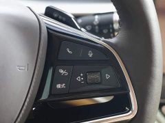 Denza D9 DM-i Intelligent Driving Edition 1020 AWD Premium - фото 18