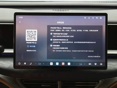 Denza D9 DM-i Intelligent Driving Edition 1020 AWD Premium - фото 19
