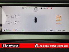 Denza D9 DM-i Intelligent Driving Edition 1020 AWD Premium - фото 3