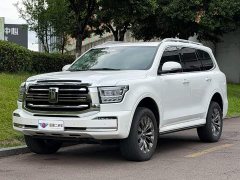 Tank 500 3.0T sports version, environment type, 7 seats - фото 1