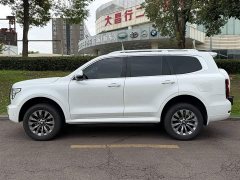 Tank 500 3.0T sports version, environment type, 7 seats - фото 3