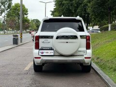 Tank 500 3.0T sports version, environment type, 7 seats - фото 5