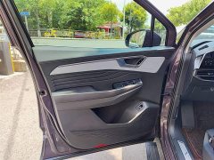 Lanjing 380TSI four-wheel drive luxury Jiajing Edition Pro 7 seats - фото 6