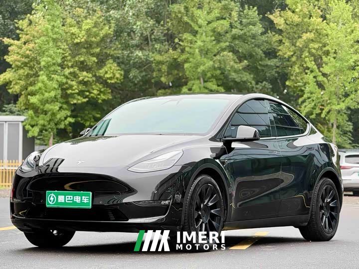Tesla Model Y long-range all-wheel drive version - автомобиль из Китая