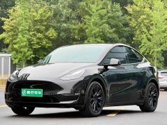 Tesla Model Y long-range all-wheel drive version - фото 1